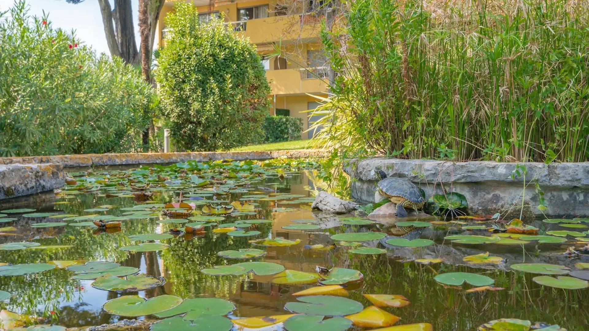 Apartment Les 15 Pins & La Mer -Your Green Getaway Near Sea & Beach Antibes