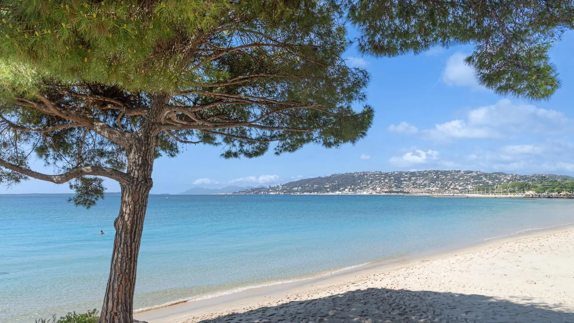 Les 15 Pins & La Mer -Your Green Getaway Near Sea & Beach Antibes Francie
