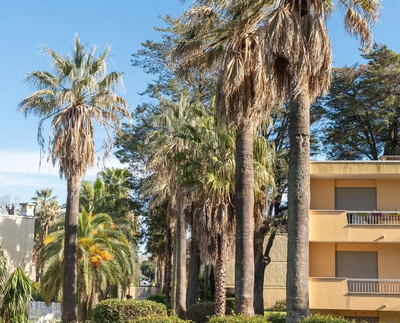 Les 15 Pins & La Mer -Your Green Getaway Near Sea & Beach Antibes France